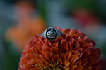 Bat-O-Lantern Ring - Sterling Silver - Pre-Order in your Size!
