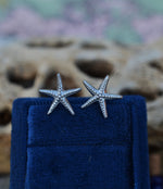 Only 1 Pair Left! Starfish Stud Earrings - Sterling Silver