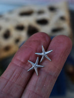 Only 1 Pair Left! Starfish Stud Earrings - Sterling Silver
