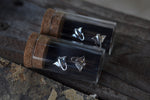 Message in a Bottle Earrings - TINY Manta Rays