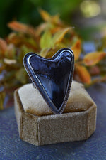 Murky Waters Fossil Shark Tooth Ring - Size 8 - Discounted from Original Price