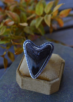 Murky Waters Fossil Shark Tooth Ring - Size 8 - Discounted from Original Price