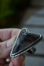 Murky Waters Fossil Shark Tooth Ring - Size 8 - Discounted from Original Price