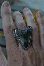 Murky Waters Fossil Shark Tooth Ring - Size 8 - Discounted from Original Price