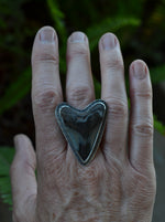 Murky Waters Fossil Shark Tooth Ring - Size 8 - Discounted from Original Price