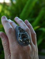 Hidden Treasure Ammonite in Pyrite Ring - Size 7.5 - Discounted from Original Price