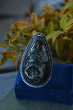 Hidden Treasure Ammonite in Pyrite Ring - Size 7.5 - Discounted from Original Price