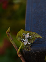 Winter's Snow Stud Earrings - Rainbow Moonstone - One pair