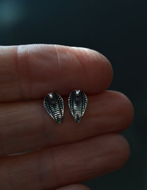 Cobra Snake Studs - Sterling Silver