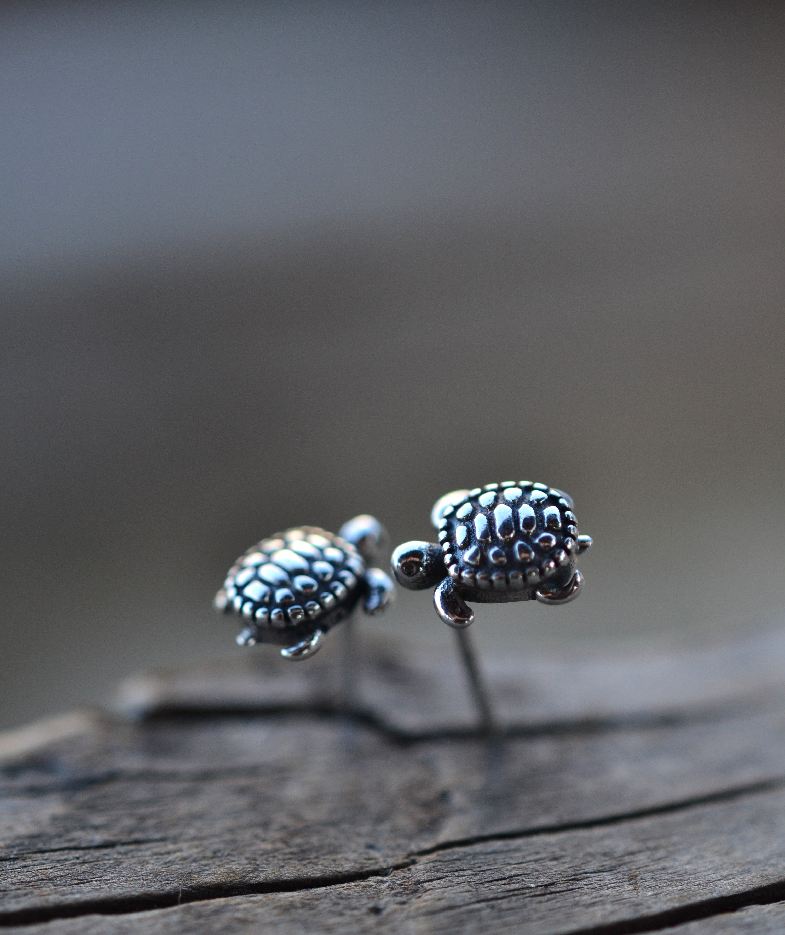 Sea Turtle Stud Earrings - Sterling Silver