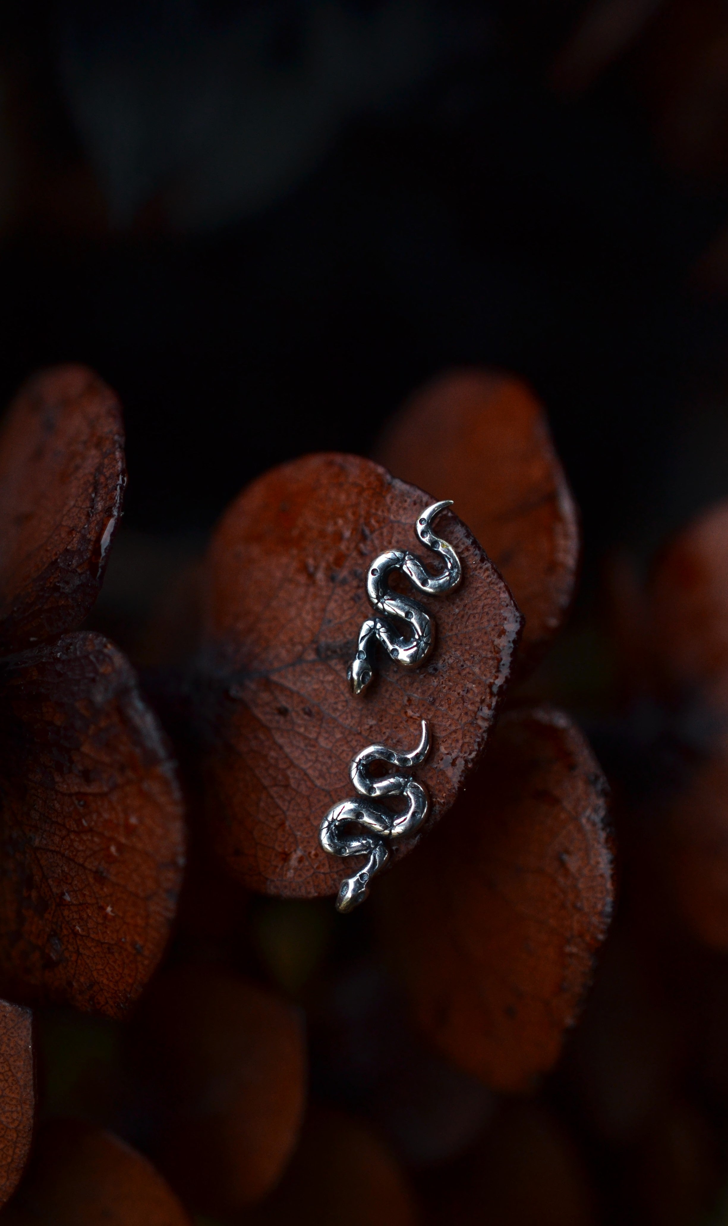 Only 2 Pairs Left! Celestial Snake Studs - Sterling Silver