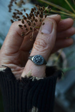 Spider in Web Signet Ring - Sterling Silver - Pre-Order in your Size!