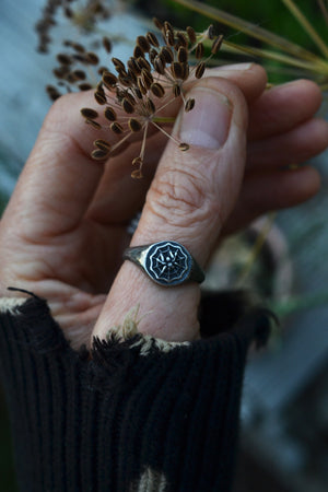 Spider in Web Signet Ring - Sterling Silver - Pre-Order in your Size!