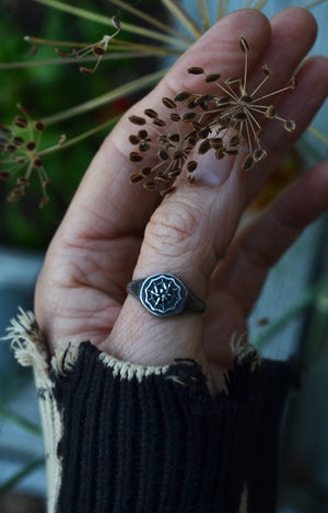 Spider in Web Signet Ring - Sterling Silver - Pre-Order in your Size!