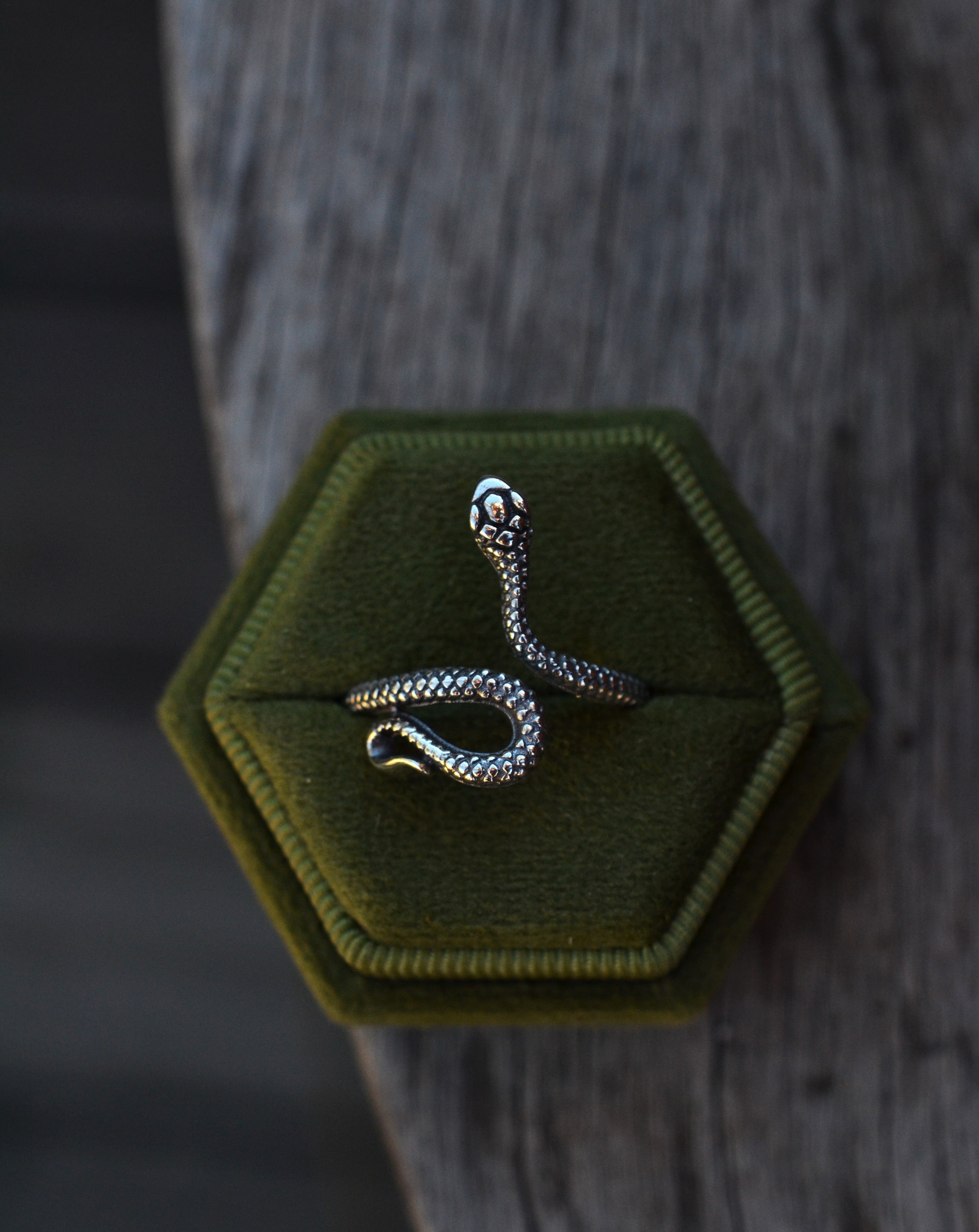 Year of the Snake Ring - Slightly Adjustable