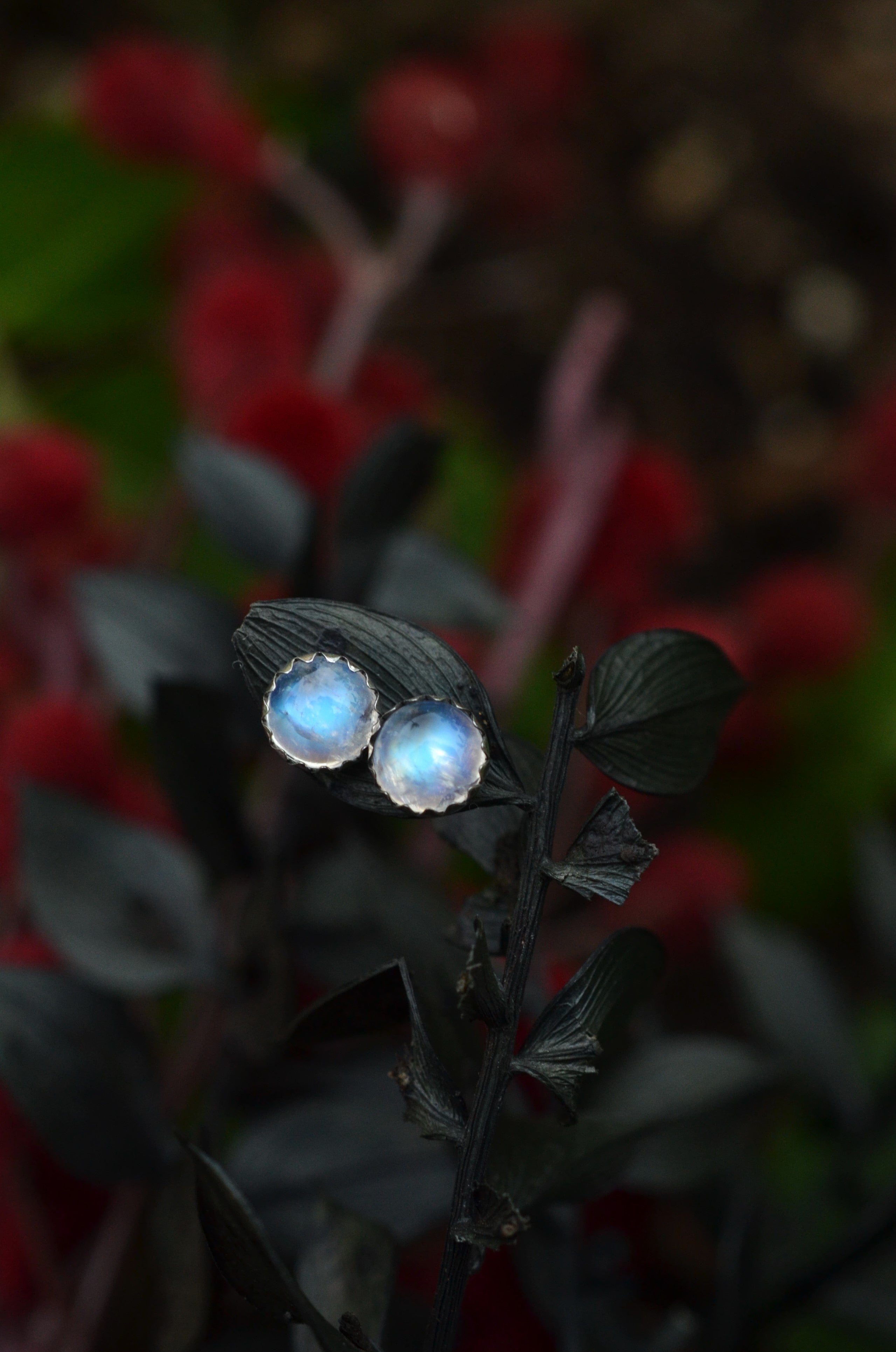One Pair of 6mm Gemstone Studs - Rainbow Moonstone