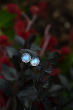 One Pair of 6mm Gemstone Studs - Rainbow Moonstone