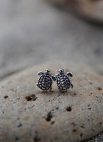 Sea Turtle Stud Earrings - Sterling Silver