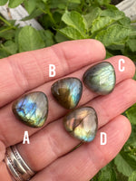 Pre-Order Large Mixed Metal Cicada Pendant - Choose Your Stone - Labradorite