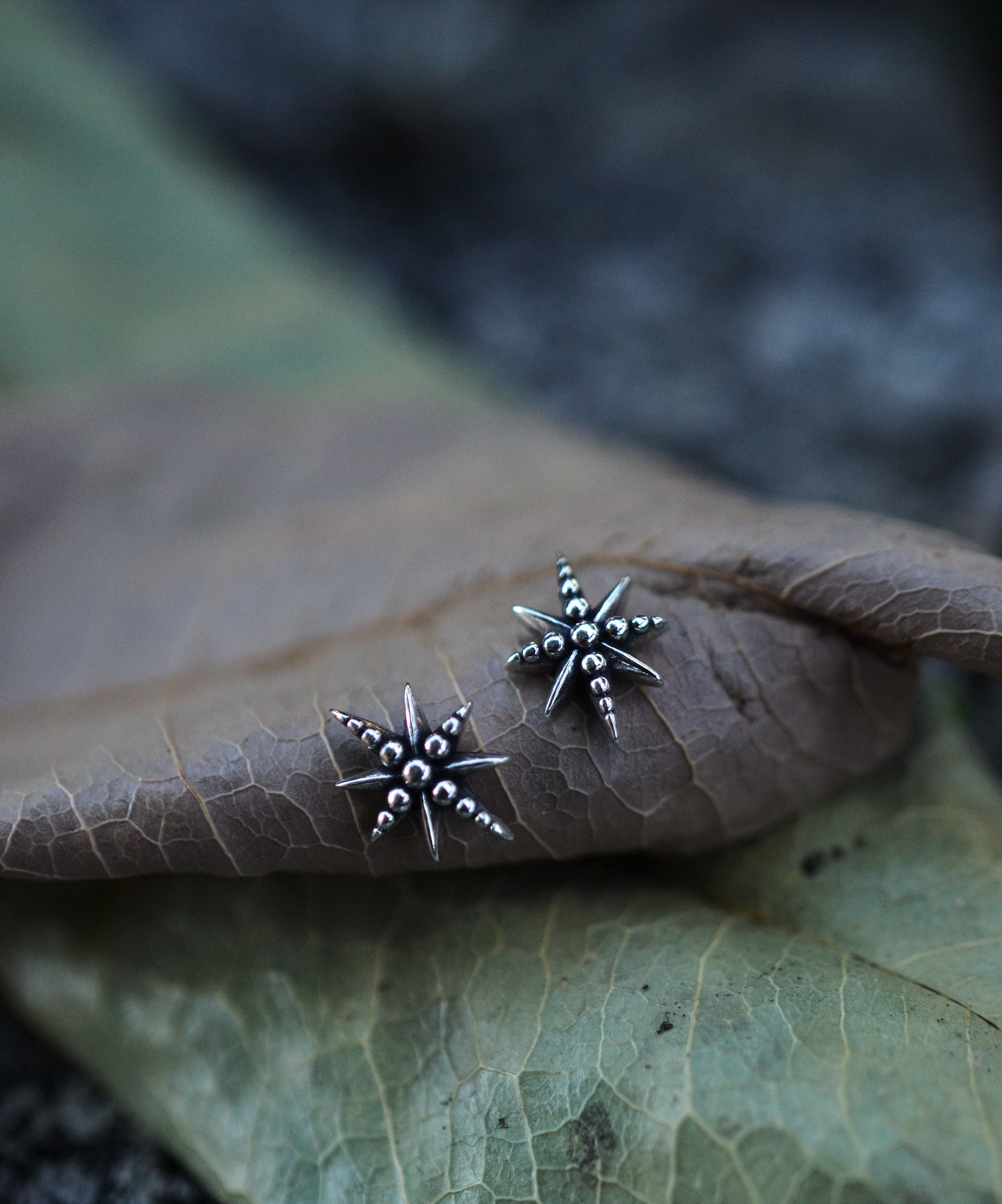 Only 1 pair left! Polaris Earrings - Sterling Silver